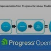 Servers View Representation From Progress Developer Studio For OpenEdge