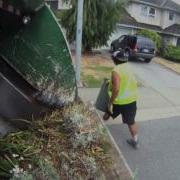 Manual Garbage Collection Action