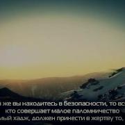 Насыр аль Катами сура аль Бакара