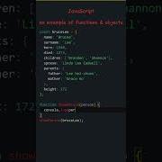 JavaScript Shorts Passing An Object As A Parameter To A Function