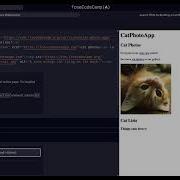 FreeCodeCamp Responsive Web Design Step 21 Of 71 Learn HTML By Building A Cat Photo App