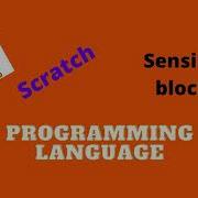 Scratch Sensing Block Use Of Keyboard And Mouse
