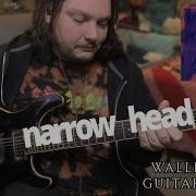 Narrow Head Wallflower Guitar Cover