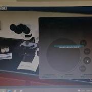 Virtual Microscope Laboratory Activity