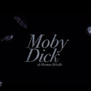 Moby Dick Trailer The Prophecy Plexus Polaire Création 2020