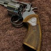 Colt 2020 Python Update