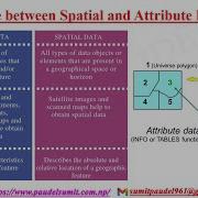 GIS Data Types Spatial Raster And Vector And Attribute Data
