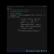 Hidden Password Input Shorts Python