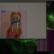 DeepStreamSDK Python Bindings Self Made Learning Model Confidence Display