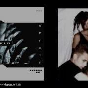Flesh Field Voice Of Dissent