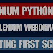 Selenium Python 5 Writing First Automation Script