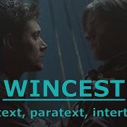 Wincest Subtext Paratext Intertext