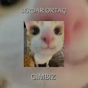 Serdar Ortaç Cımbız SPEED UP Keşfet Speedup
