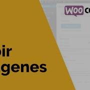Subir Imágenes WordPress Y WooCommerce