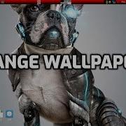 Change The Wallpaper In Puppylinux