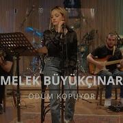 Melek Büyükçınar Ödüm Kopuyor Akustik