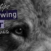 Top Tips On How To Draw Fur In Graphite Photo Realistic Graphite Drawings