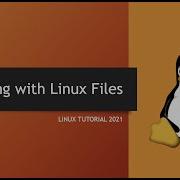 Working With Linux Files Linux Tutorial 2021 Linux Masterclass