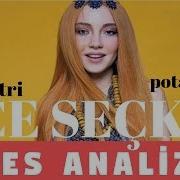 Ece Seçkin Ses Analizi Biraz Endüstri Ve Gerçek Potansiyel
