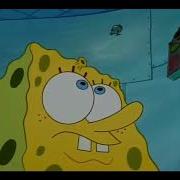 Plankton Yes Yes YESS