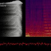Rob Hubbard Thrust Song 1 C64 SID