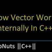 How Vector Works Internally In C STL In C