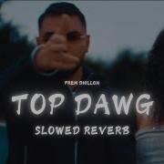 Top Dawg Slowed And Reverb Prem Dhillon New Punjabi Song