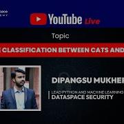 Image Classification Between Cats Dogs Using ML Python