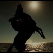 11 мая в двух столицах Запределье The Fall 2006 By Tarsem Singh