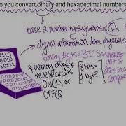 Binary And Hexadecimal Systems Computer Science