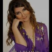 Sibel Pamuk Geceler Yarim Oldu