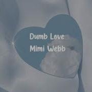 Mimi Webb Dumb Love Slowed Reverb