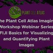 Imaging Workshop Webinar Series FIJI Basics For Visualizing And Quantifying Plant Images