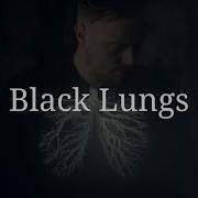 洋楽 Architects Black Lungs 和訳