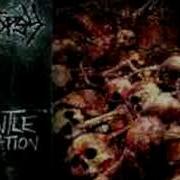 CRYPTOPSY UNGENTLE EXHUMATION E P 2002 REISSUE
