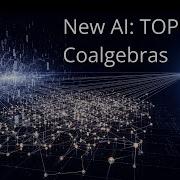 Topos Coalgebras Quantum Groups For AI