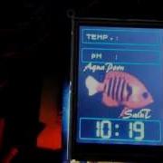 DIY Arduino Reef Controller Plans And Functions