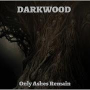 Darkwood Only Ashes Remain PEGI 18
