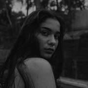 Blackbird Deep Rain