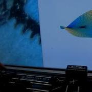 Adaptive Optics Using Deformable Mirror To Fix Aberrations