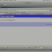 DEMO 1 Lack Of Input Validation Security Ninja
