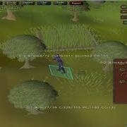 OSRS Woodcutting Mobile Bot With Python