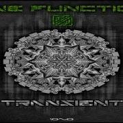 One Function Transient