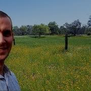 NEON Terrestrial Observation Vegetation Sampling A Presentation