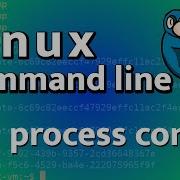 LCL 21 Process Control Commands Linux Command Line Tutorial For Forensics