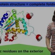 Protein Structure