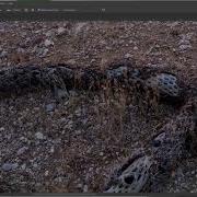 Focus Stacking And Exposure Blending