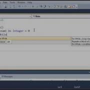 Visual Basic 31 Do While Loop
