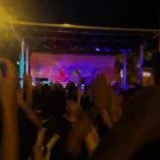 Wicker Park Fest