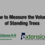 How To Estimate The Volume Of Standing Trees